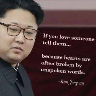 🇰🇵 emoji North Korea 🇰🇵 Telegram sticker 22 of 71