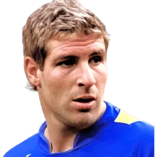 😦 emoji Martin Palermo Telegram sticker 21 of 26