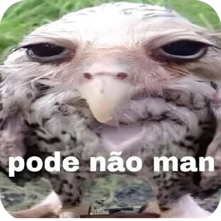 🐦 emoji Sei lá Telegram sticker 5 of 17