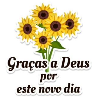 🌸 emoji Escolhida por Deus Telegram sticker 9 of 120