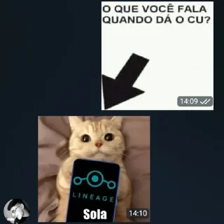 Sticker from Los-sola