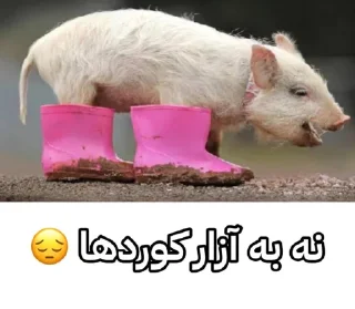 😂 emoji Kirdostan action Telegram sticker 13 of 33