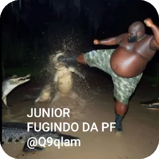 🐊 emoji Junior Lotter @Q9qlam degustador de pica suja Telegram sticker 10 of 33