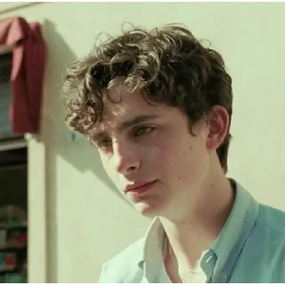👌 emoji Timothée Chalamet 💖 Telegram sticker 2 of 62