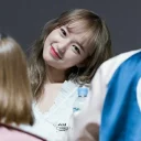 🌷 emoji •Cheng Xiao🍰-[ @gl10_stic ] Telegram sticker 19 of 31