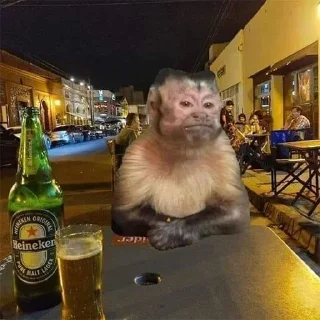 🍻 emoji MonitosIGC Telegram sticker 19 of 120
