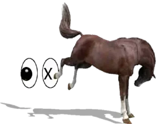 🐎 emoji @Stickers_telegran┋@namoro_inesperado Telegram sticker 8 of 87