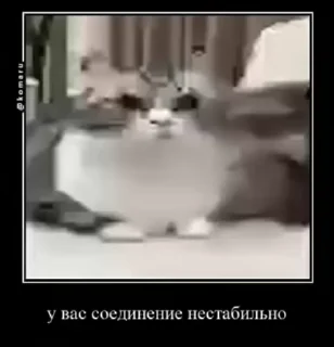 🌟 emoji Павел Кроликов Telegram sticker 12 of 120