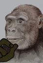 Sticker from Cheloide's meme stash 3