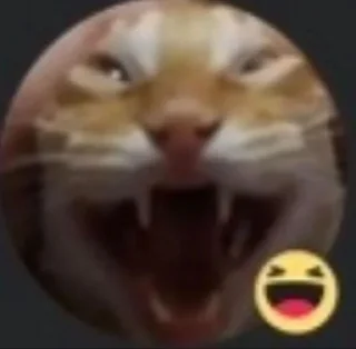 🤔 emoji 𝒜𝓈𝒽𝓁𝓎 Steal Pack 1 Telegram sticker 5 of 120