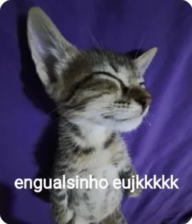 😸 emoji kiretarekiki Telegram sticker 18 of 50