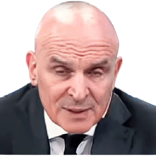 😞 emoji José Luis Espert Telegram sticker 18 of 19