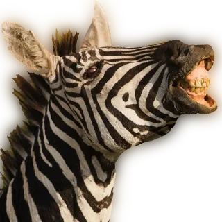 🦓 emoji elshowdeltrading yt Telegram sticker 23 of 75