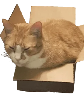 😺 emoji My Honest Reactions Telegram sticker 3 of 74