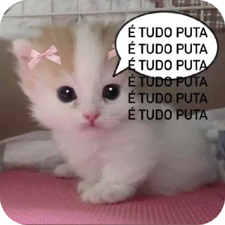 🐱 emoji vida cara. Telegram sticker 5 of 13
