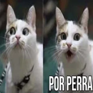 🤣 emoji Memes pack Telegram sticker 14 of 41