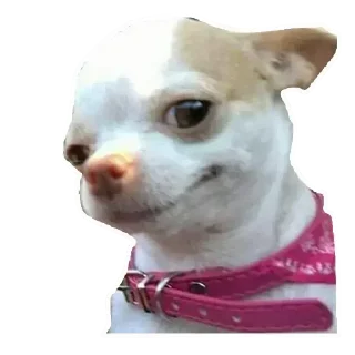 😒 emoji raghe 3.0 (@CalsiBot) Telegram sticker 2 of 120