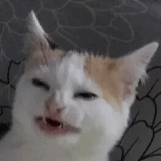 😁 emoji Alícia's kang pack Vol.1 Telegram sticker 6 of 120
