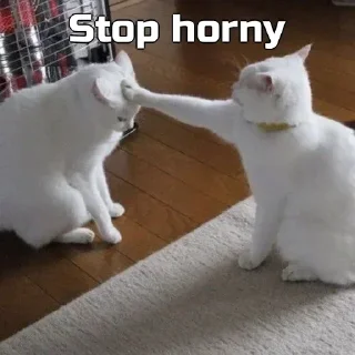 😂 emoji MEOW MEOW // @ZekoxeADV // Telegram sticker 13 of 102