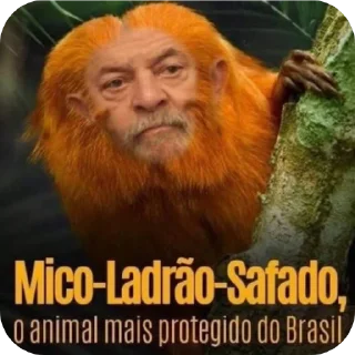 🤨 emoji Marcão | via @StickedApp_bot Telegram sticker 9 of 116