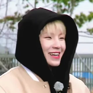 🦜 emoji Woozi 2.0 by @aratickers Telegram sticker 11 of 38