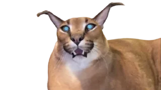 😒 emoji Chraus Telegram sticker 6 of 19