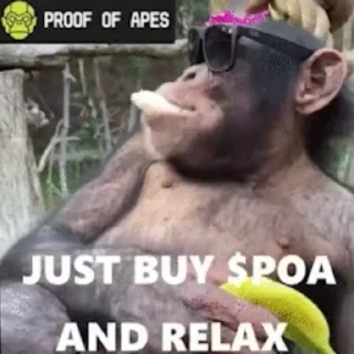 Sticker from Unofficial Proof Of Apes Stickers