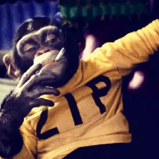 🚬 emoji Unofficial Proof Of Apes Stickers Telegram sticker 18 of 21