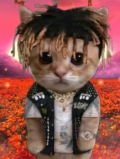 🐱 emoji 𝐉𝐮𝐢𝐜𝐞 𝐖𝐑𝐋𝐃 [ @GhostFaceGoodd ] Telegram sticker 21 of 49