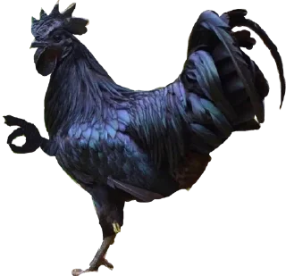 🐔 emoji Jojo pack Telegram sticker 19 of 82