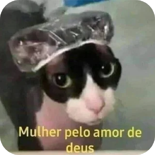 🐱 emoji Meus Telegram sticker 14 of 120