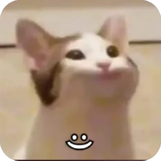 🫥 emoji Meus Telegram sticker 13 of 80