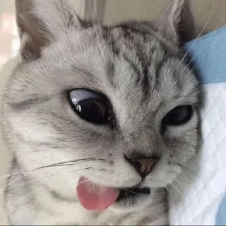 🤪 emoji yea Telegram sticker 18 of 50