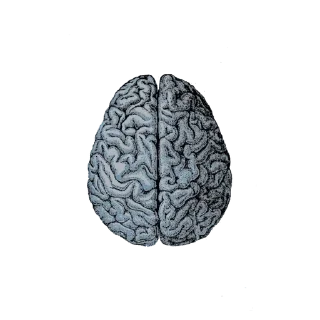 🩻 emoji 𝗆𝖺𝗅𝖽𝗂𝗍𝖺  𝖺𝗅𝗆𝖺.  @cruciocurses Telegram sticker 5 of 19