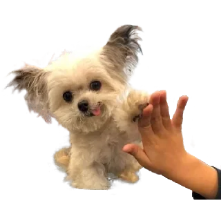 😋 emoji @facu_16's Pack 2 Telegram sticker 16 of 120