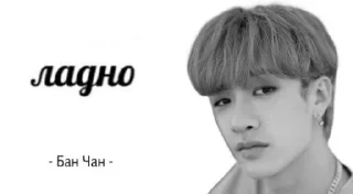 🚨 emoji skz mem by @a0kiqs Telegram sticker 22 of 37