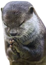 🙏 emoji pasha Telegram sticker 19 of 69