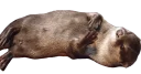🙃 emoji pasha Telegram sticker 17 of 69