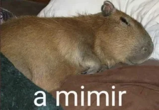 😴 emoji Aleatórios IV Telegram sticker 24 of 36