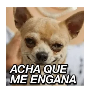 😏 emoji ✞ঔৣ ᗷⳗບບɴԵ ঔৣ✞ Telegram sticker 23 of 82