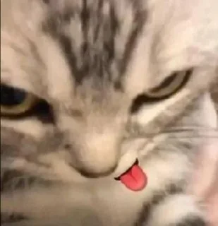 🤔 emoji ᴅɪᴇɢᴏ Steal Pack 4 Telegram sticker 7 of 120