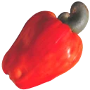 🍒 emoji Canal da by mor... @VidaSaude Telegram sticker 17 of 120