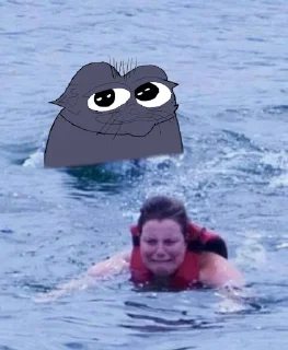 Sticker from Seal Dreams