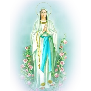 🙏 emoji Mensagens 🌻🪻🪴🍀 @POSITIVOSER Telegram sticker 16 of 75