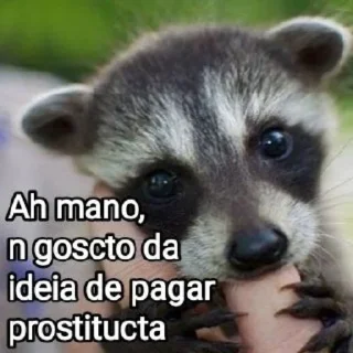🦝 emoji Mensagens Fofas 4 Telegram sticker 18 of 120