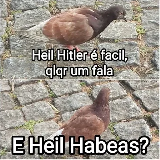 🕊 emoji Mensagens Fofas 4 Telegram sticker 12 of 120