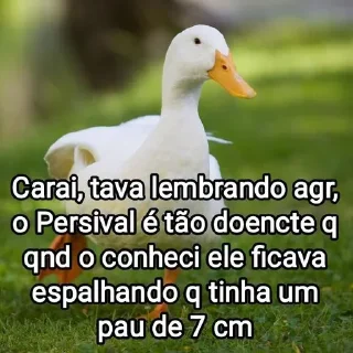 🦆 emoji Mensagens Fofas 4 Telegram sticker 15 of 120