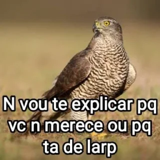 🦜 emoji Mensagens Fofas 9 Telegram sticker 14 of 120