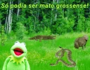 🙄 emoji Kermit, the frog 9 🐸 Telegram sticker 24 of 68