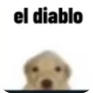 🐶 emoji 👋😸 Miau @MINALESO Telegram sticker 23 of 120